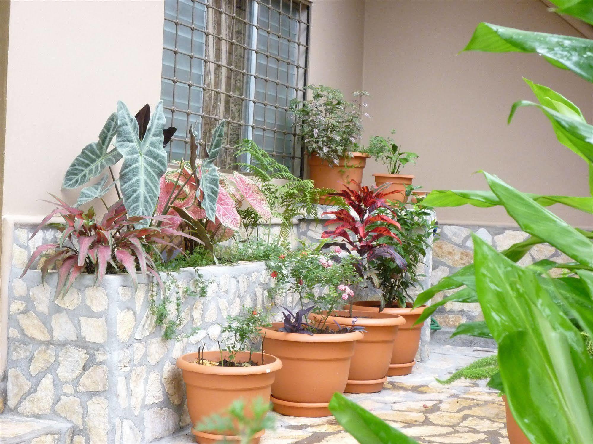 Hotel La Escalinata Copan Екстер'єр фото